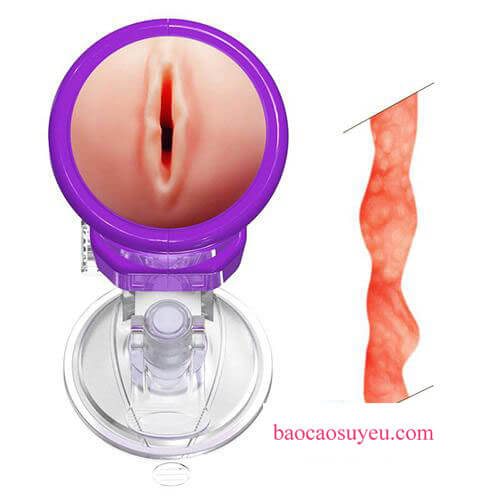 Cốc thủ dâm gắn tường Youcup Dream Girls - Đồ chơi tình dục Cốc thủ dâm gắn tường Youcup Dream Girls - Đồ chơi tình dục