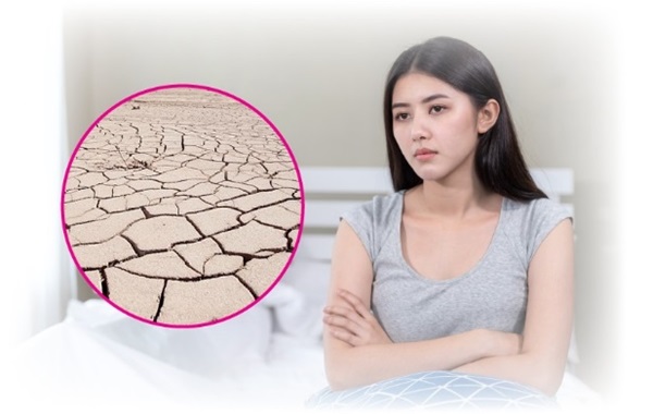 gel bôi kích dục nữ tăng độ nhạy cảm ở các khu vực cô bé mang lại niềm vui mãnh liệt hơn gel bôi kích dục nữ tăng độ nhạy cảm ở các khu vực cô bé mang lại niềm vui mãnh liệt hơn