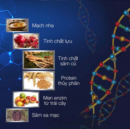 Kẹo sâm Xtreme là phiên bản cao cấp của Kẹo sâm Xtreme được sản xuất tại Malaysia