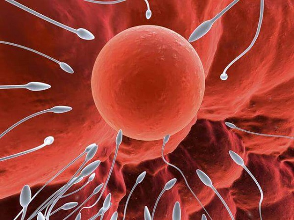 7 sai lầm khi bạn tìm cách quan hệ để có con