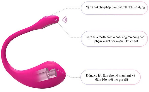 Hướng dẫn sử dụng chứng rung Lush cao cấp Hướng dẫn sử dụng chứng rung Lush cao cấp