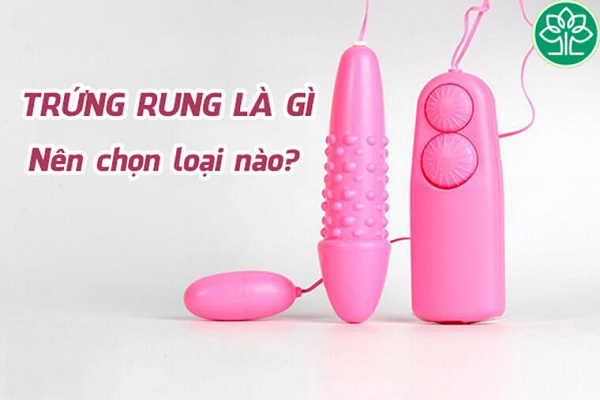Trứng rung tình yêu là gì? Loại nào phê nhất, mua ở đâu Trứng rung tình yêu là gì? Loại nào phê nhất, mua ở đâu